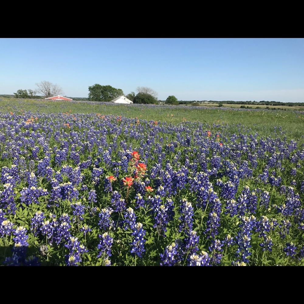 Meet your Posher, Miranda